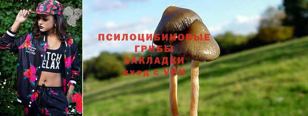 крисы Козловка