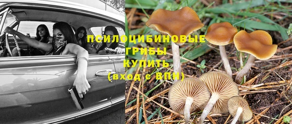 индика Сосновка