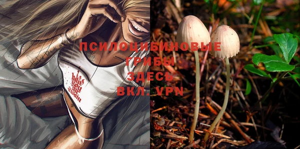 мдпв Вяземский