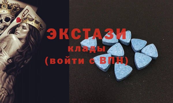 мдпв Вяземский