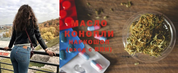 индика Сосновка