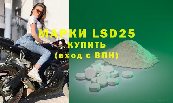 мдпв Вяземский